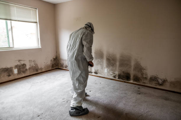 Best Commercial Mold Inspection  in Roseville, CA